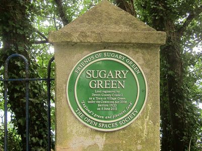 Plaque, Sugary Green