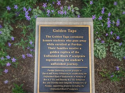 Golden Taps