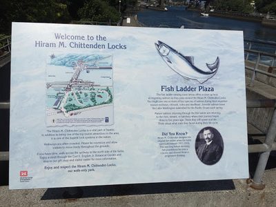 Fish Ladder Plaza