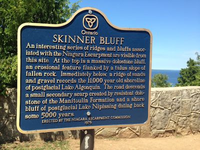 Skinner Bluff