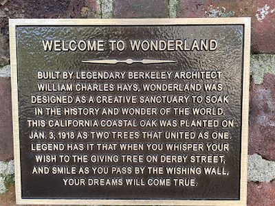 Welcome to Wonderland