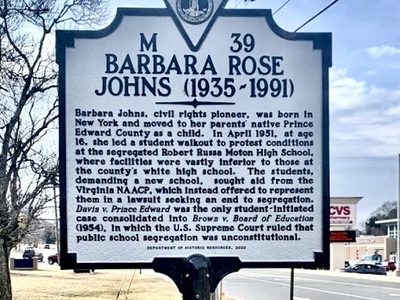 Barbara Rose Johns