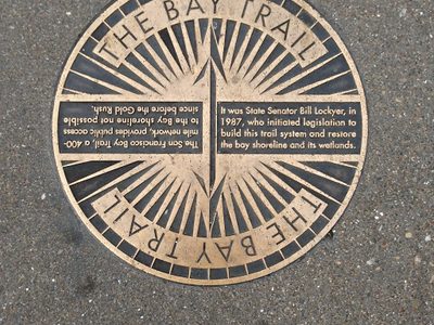 The Bay Trail