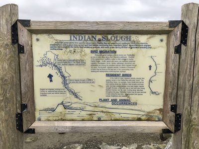 Indian Slough