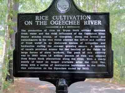 Rice Cultivation on the Ogeechee