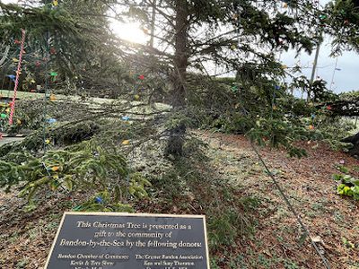 Bandon-by-the-Sea Christmas Tree