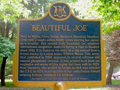 "Beautiful Joe"