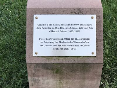 l'Academie des Sciences Lettres et Arts d'Alsace