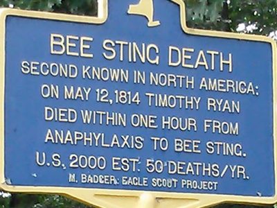 Bee Sting Death #2