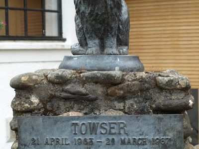 Towser the Famous Cat