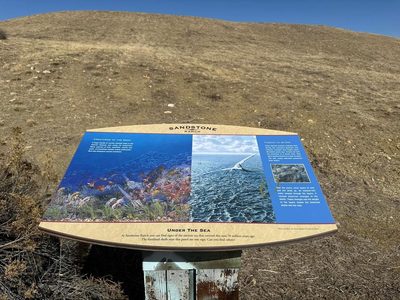 Sandstone Ranch Under the Sea