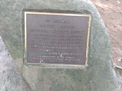 Rachel Carson National Wildlife Refuge