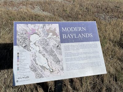 Modern Baylands