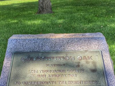 Constitution Oak