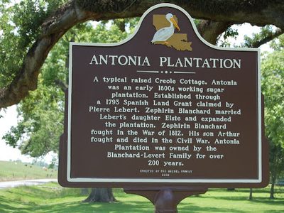 Antonia Plantation