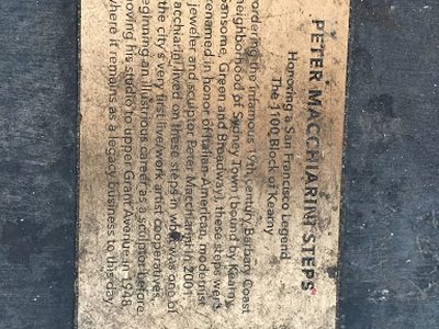 PETER MACCHIARINI STEPS