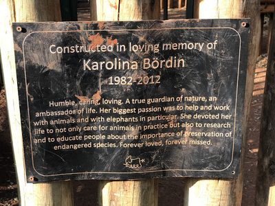 Constructed in loving memory of Karolina Bordin