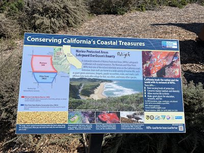 Conserving California's Coastal Treasures