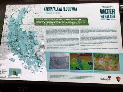 Atchafalaya Floodway - Henderson