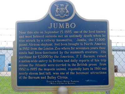 Jumbo