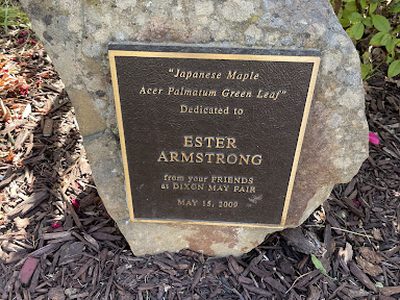 Ester Armstrong