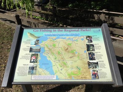Go Fishing in the Regional Parks