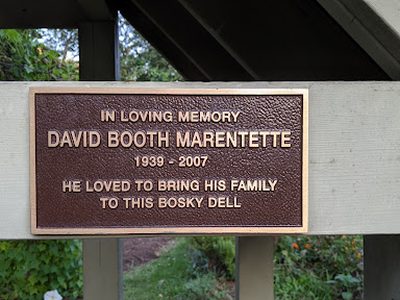 David Booth Marentette
