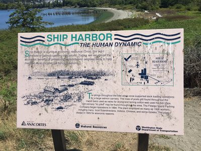 Ship Harbor: The Human Dynamic