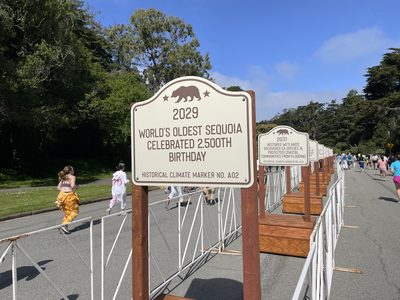 Future Plaque: World's Oldest Sequoia Celebrated 2,500th Birthday