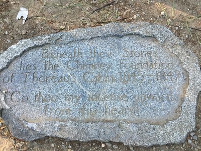 Thoreau's Cabin at Walden Pond