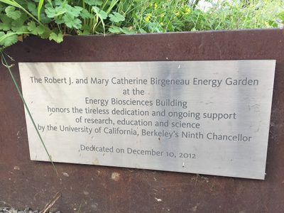 Energy Garden