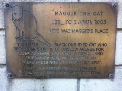 Maggie the Cat