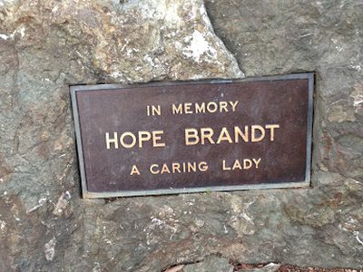A Caring Lady