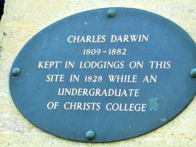 Plaque on Boots, Sidney Street