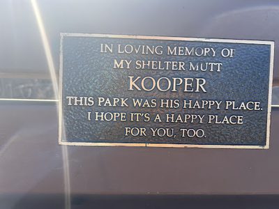 Kooper