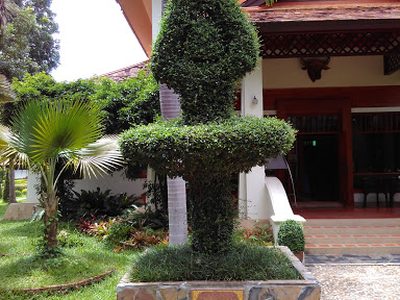 Description of motivation behind topiaries