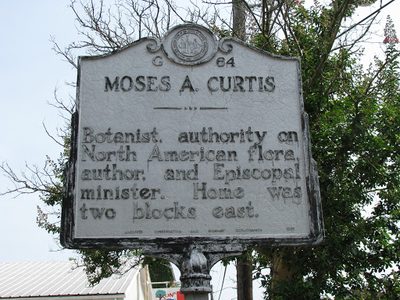 Moses A. Curtis