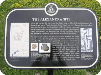 The Alexandra Site