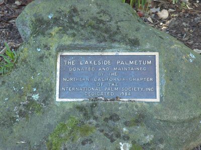 Lakeside Palmetum