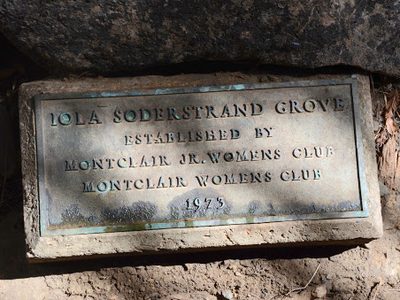 Iola Soderstrand Grove