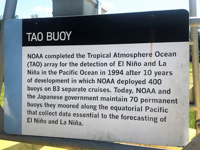 Tao Buoy