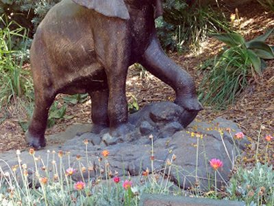 Oakland Zoo: In Honor of Sidney A. Snow