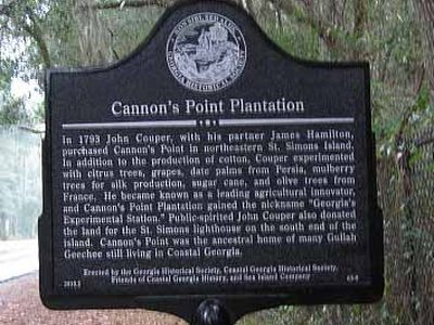 Cannon's Point Plantation