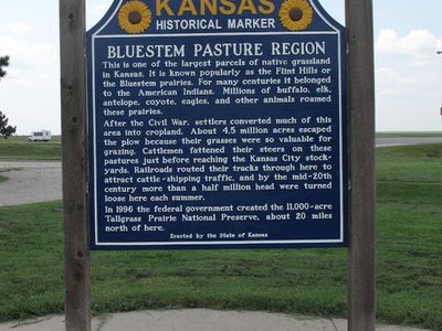 BLUESTEM PASTURE REGION