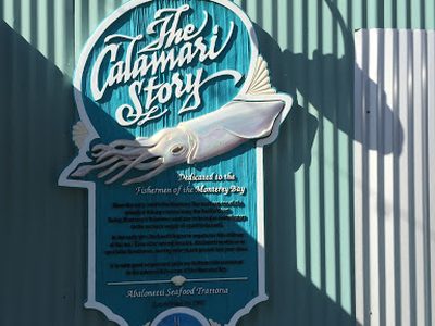 The Calmari Story