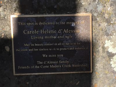 Carole Helene d'Alessio