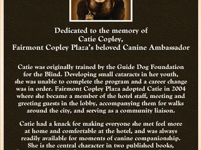 Catie Copley
