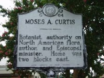 MOSES A. CURTIS