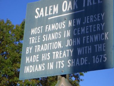 Ohhhh, the Salem Oak...