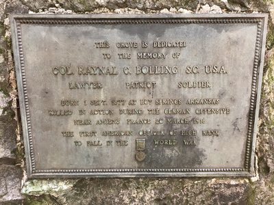 COL RAYNAL C. BOLLING S.C. USA.